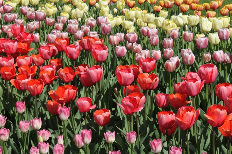 Ich wünsche euch allen frohe Ostern!