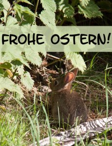 Frohe-Ostern